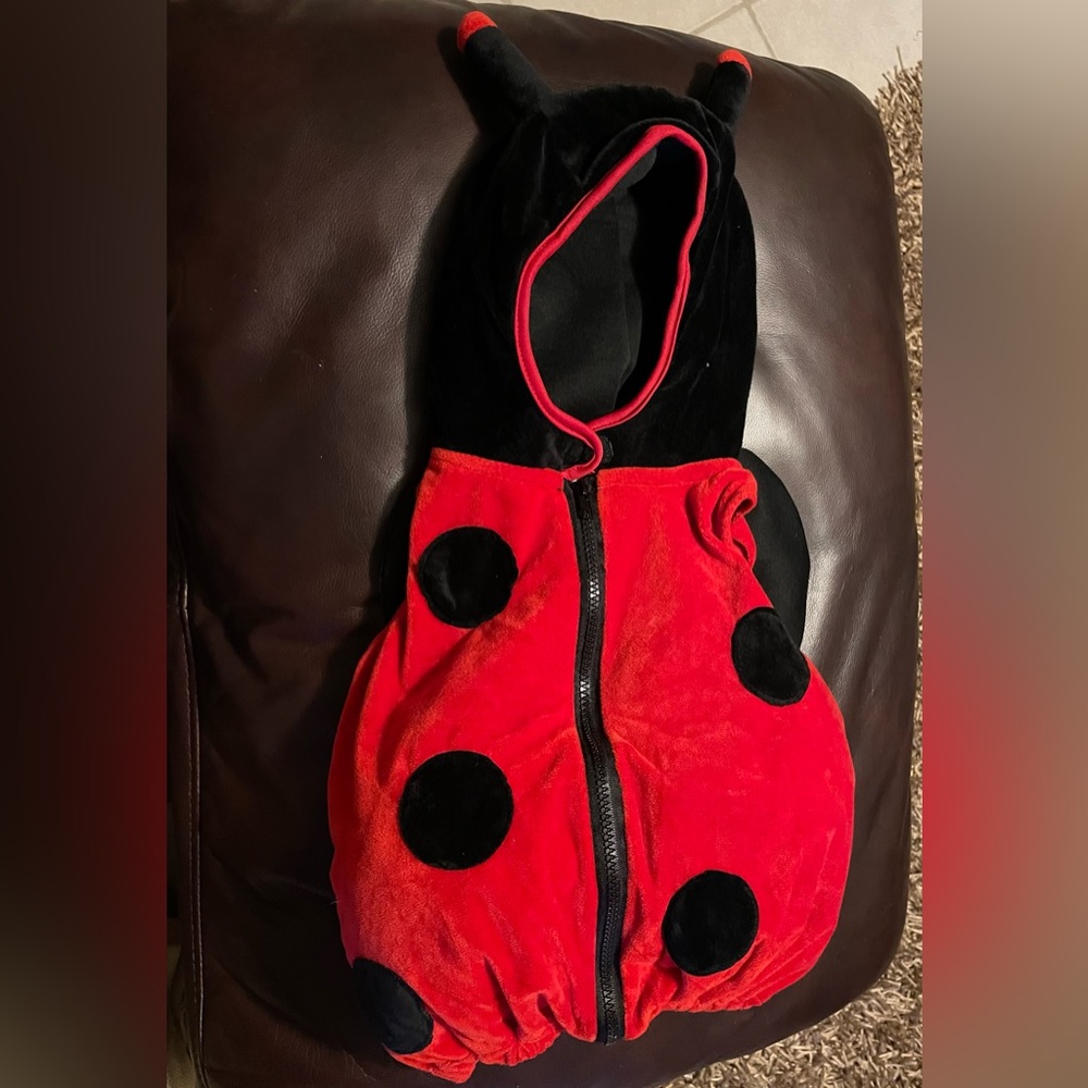 Lady Bug Halloween costume size 12M